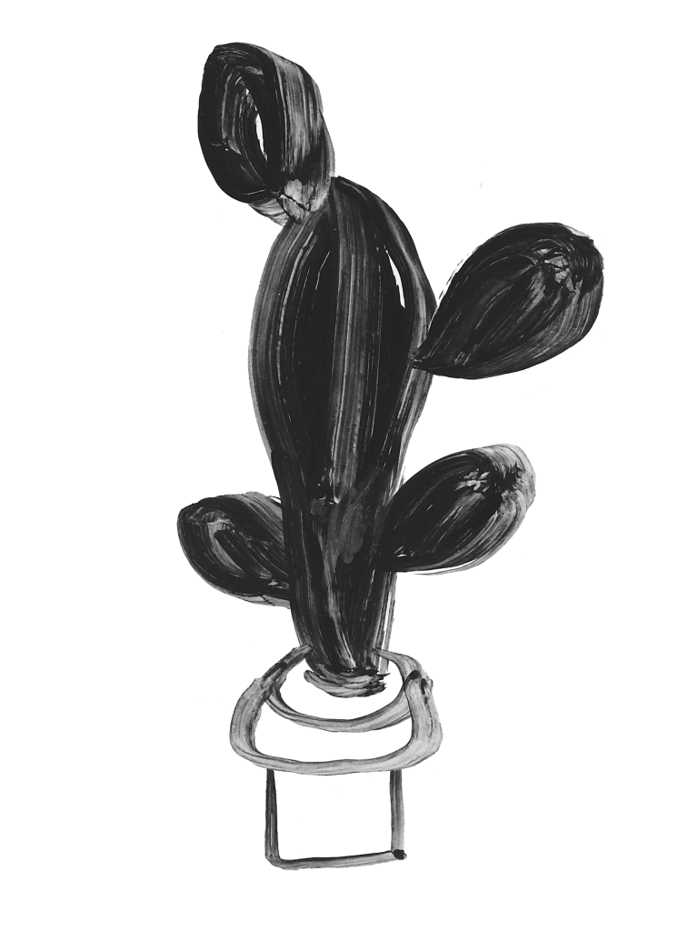 Cactus-1